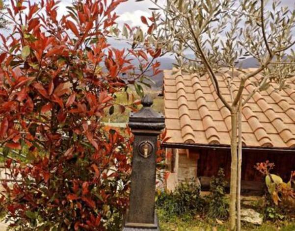Il Podere Di Massi Barberino di Mugello