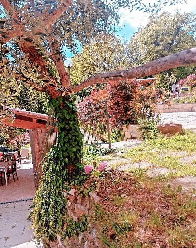 Il Podere Di Massi Country house Barberino di Mugello