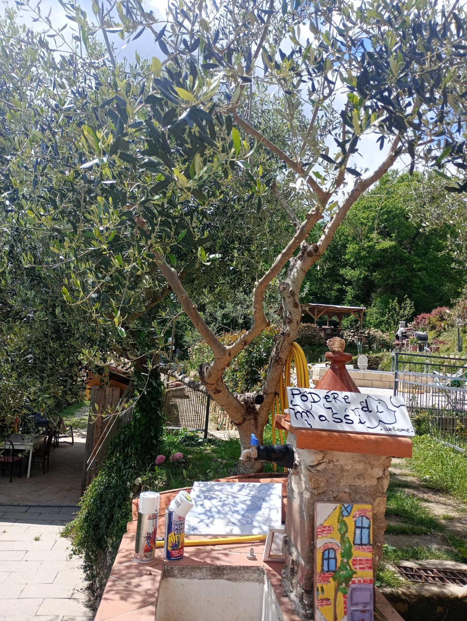 Il Podere Di Massi * Barberino di Mugello